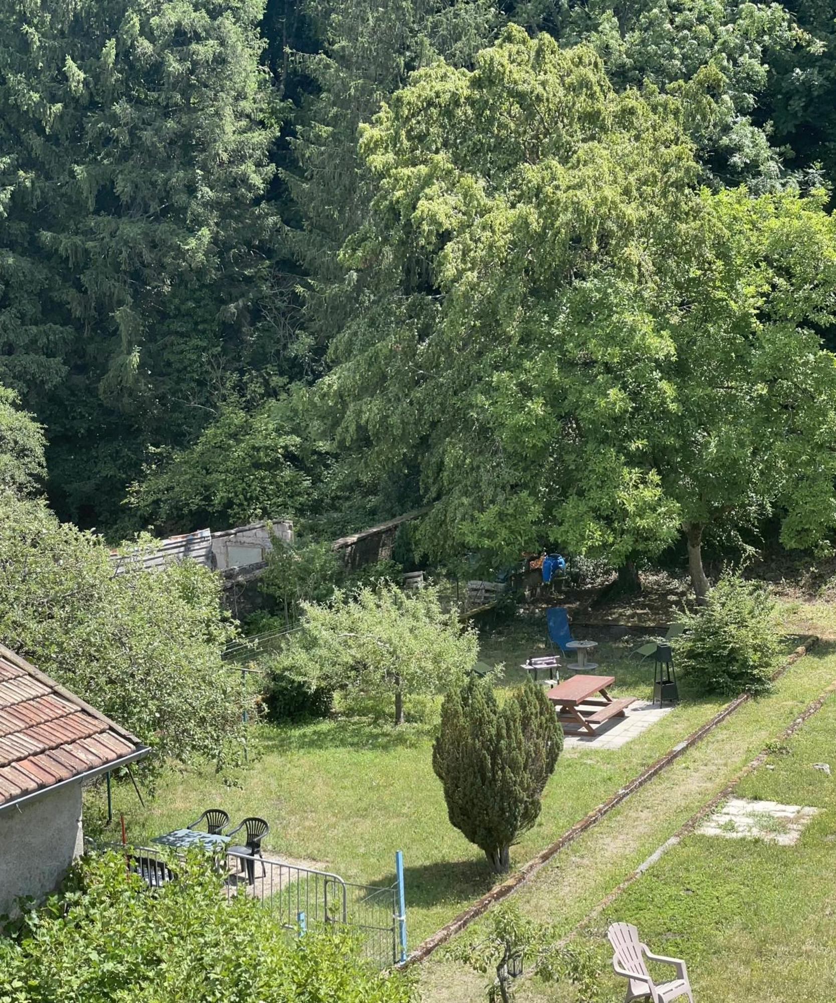 Appartement « Chez Falco » Vue Sur Le Chateau Schirmeck Εξωτερικό φωτογραφία